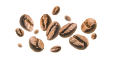 Café en grains